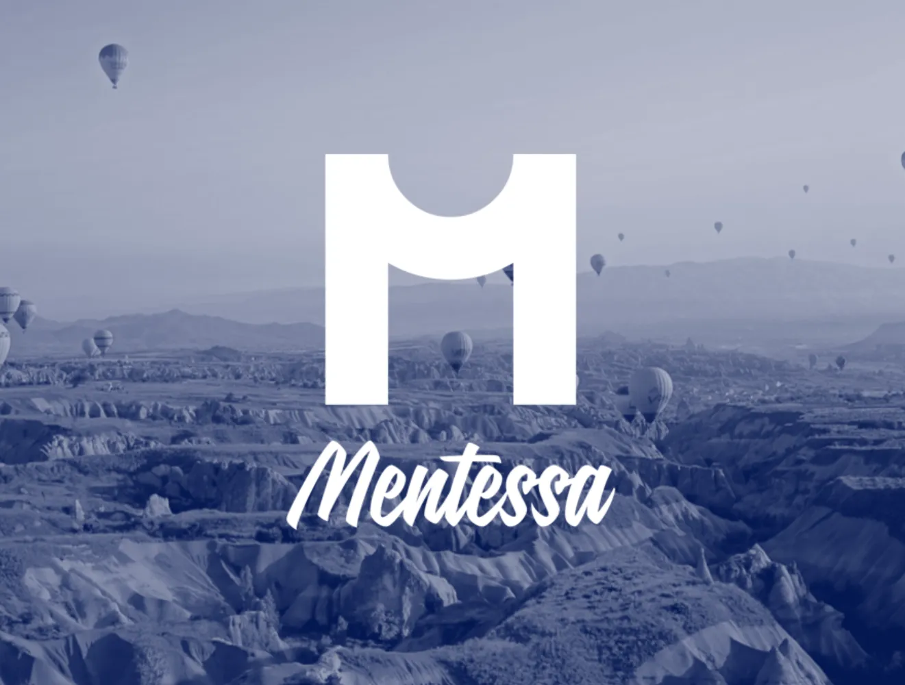 Wayra: Launching First Pilot with Mentessa